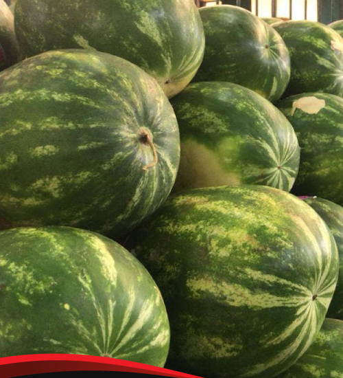 Rio Dorado - Productores Frutihortícolas