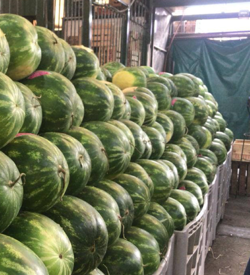 Rio Dorado - Productores Frutihortícolas